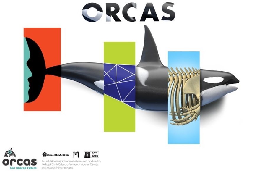 Picture of Orcas: Our Shared Future (Including Museum Admission)