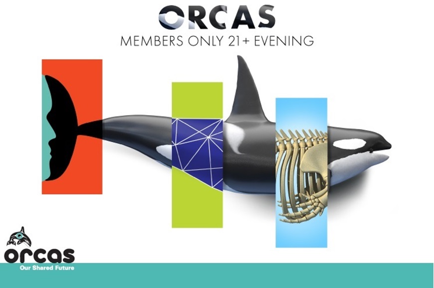 Picture of Orcas: Our Shared Future - 21+ Trivia Night