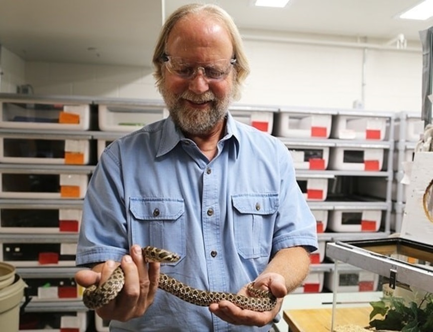 Picture of Snake Venoms: From Deadly Toxins To Life-Saving Therapeutics